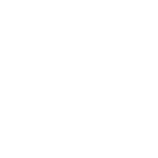 Our Vision
