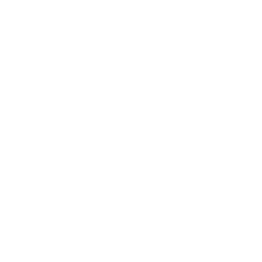 Our Values